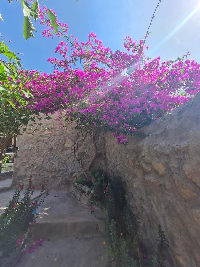 Casa De Virginia Villa กาบานากอนเด ภายนอก รูปภาพ